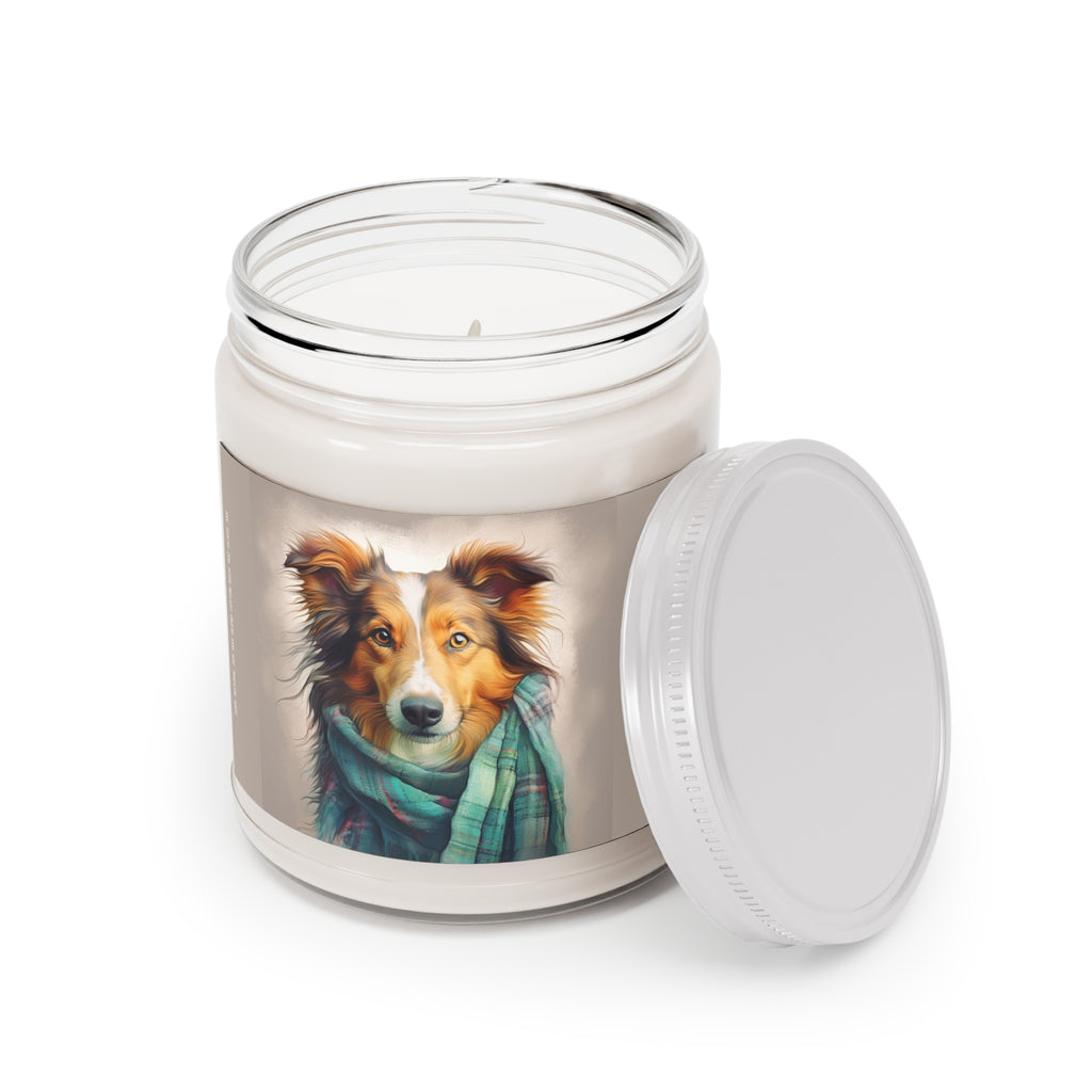 Miss Shannon’s Light