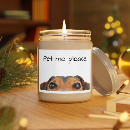 Eyes say please