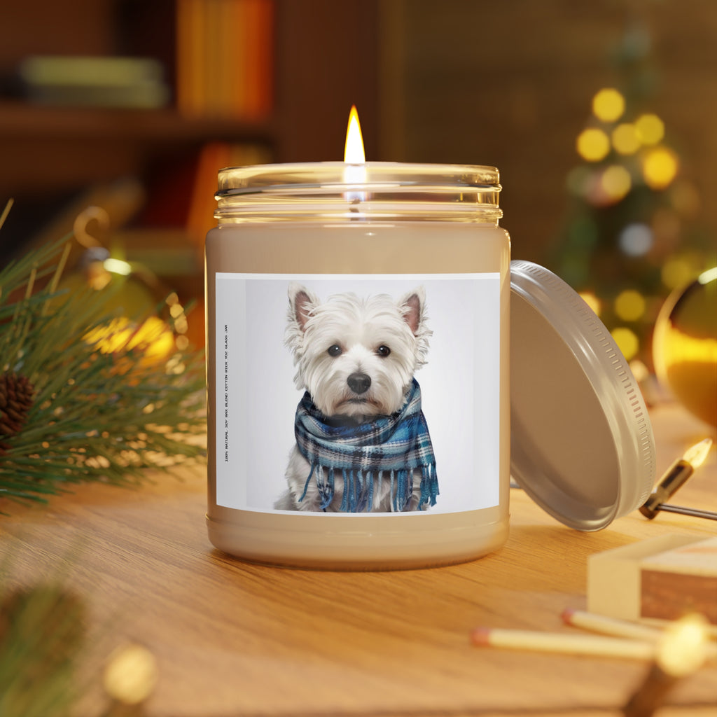 Scotty’s Gentle Glow